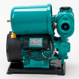 TGP125(35л/мин на 35м)  Насосная станция c расширительным баком