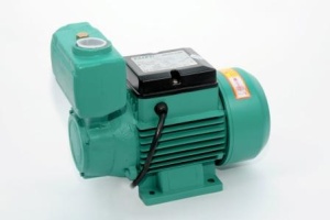 Вихревой насос (35 литров в минуту на высоту 35 метров) TKS60 TAIFU