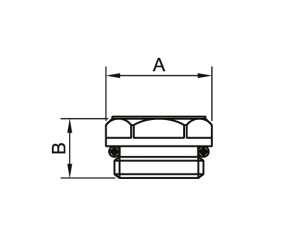 SMT107СН0004 Заглушка 1/2"НР хромированная 250шт/кор фото в интернет-магазине SMARTGRP