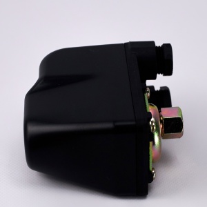 Реле давления с защитой от сухого хода (1/4" наружная резьба) Black TPA-3 НР TAIFU фото в интернет-магазине SMARTGRP