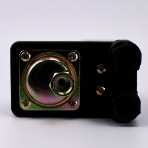 Реле давления с защитой от сухого хода (1/4" наружная резьба) Black TPA-3 НР TAIFU фото в интернет-магазине SMARTGRP